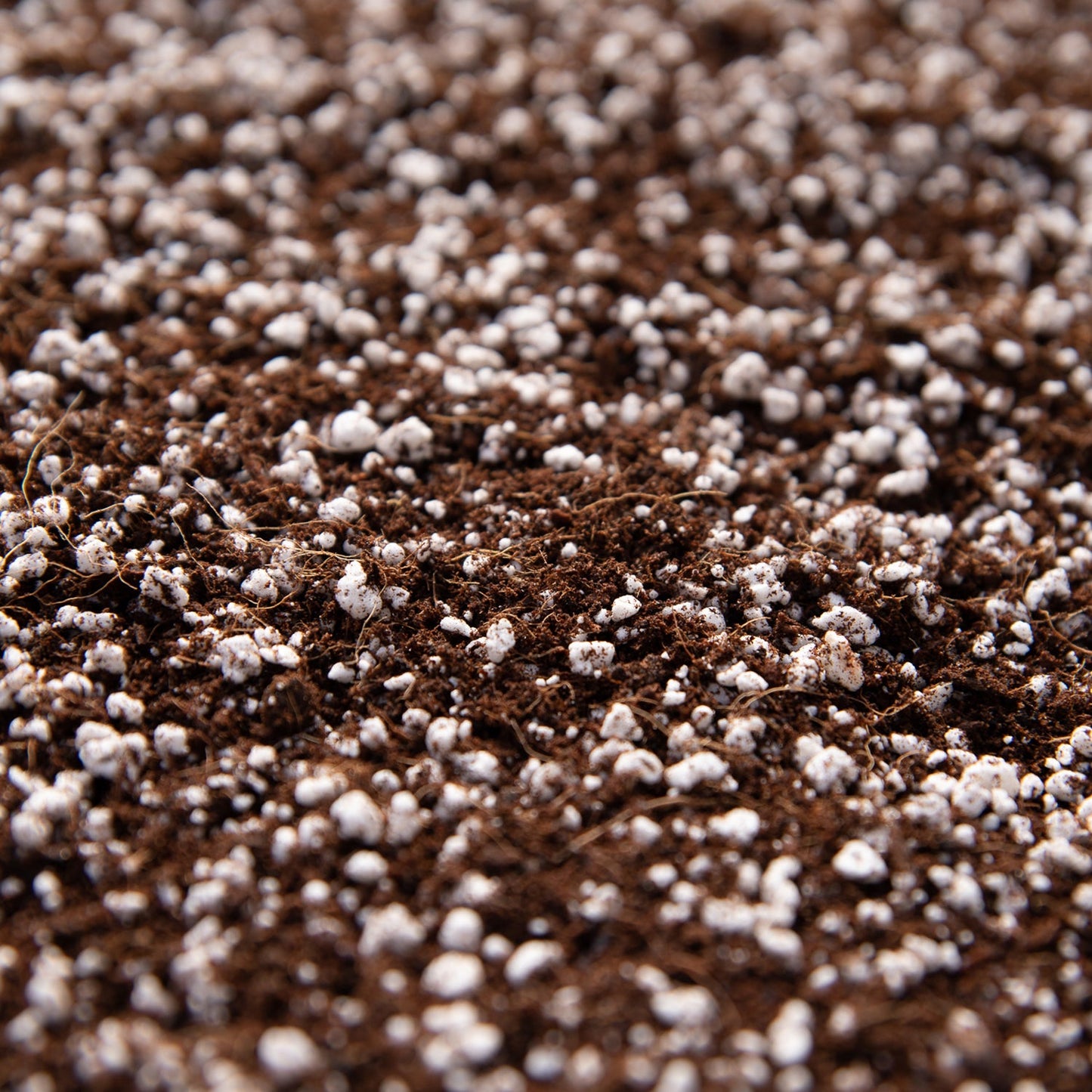 Allgemeine Blumenerde für Zimmerpflanzen