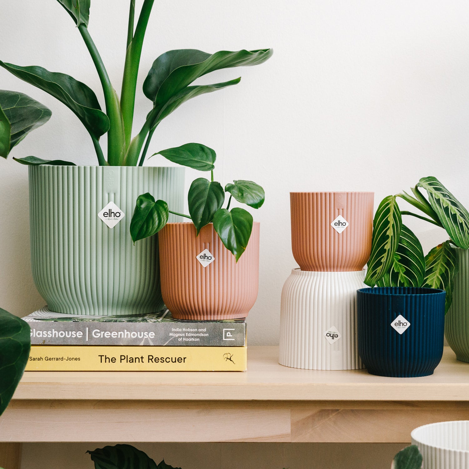 collections-soil-ninja-europe