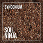 Premium Syngonium Mix